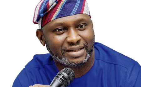 We’ve invested N45bn in healthcare, MSMEs –Olusi, BOI CEO