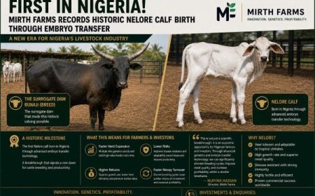 Mirth Farms Records Historic Nelore Calf Birth Through Embryo Transfer
