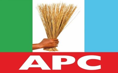 APC unveils 25 gov candidates as Kwara, Bauchi suffer delay
