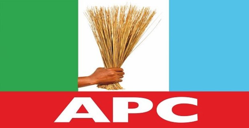 APC unveils 25 gov candidates as Kwara, Bauchi suffer delay